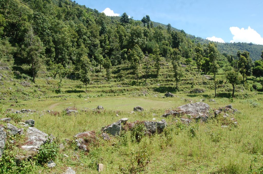 our land in Waku