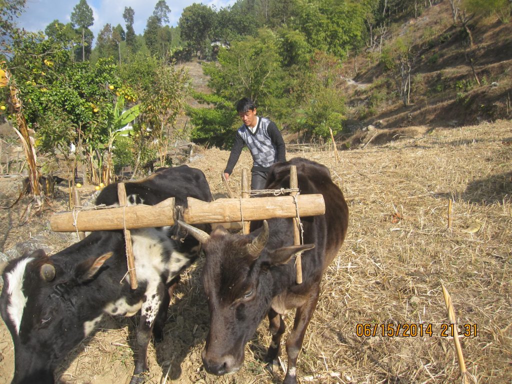 Waku village